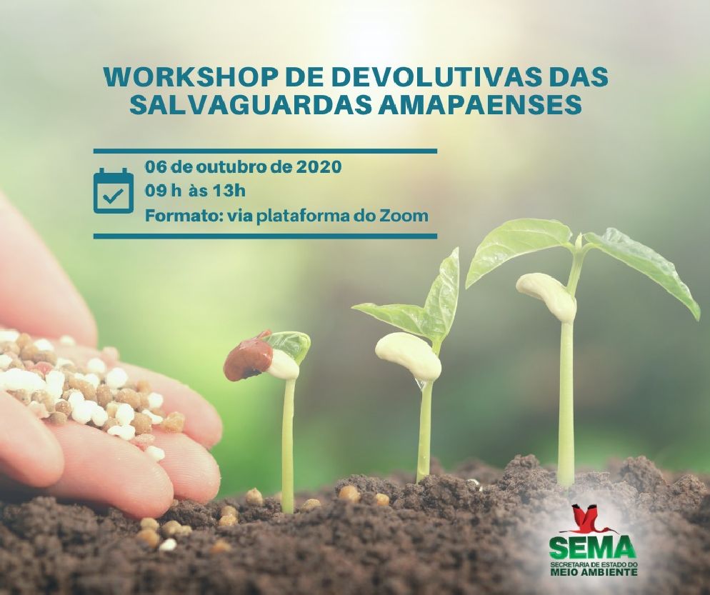 As Salvaguardas Socioambientais são um conjunto de mecanismos de controle e monitoramento de risco e de cumprimento de direitos da sociedade