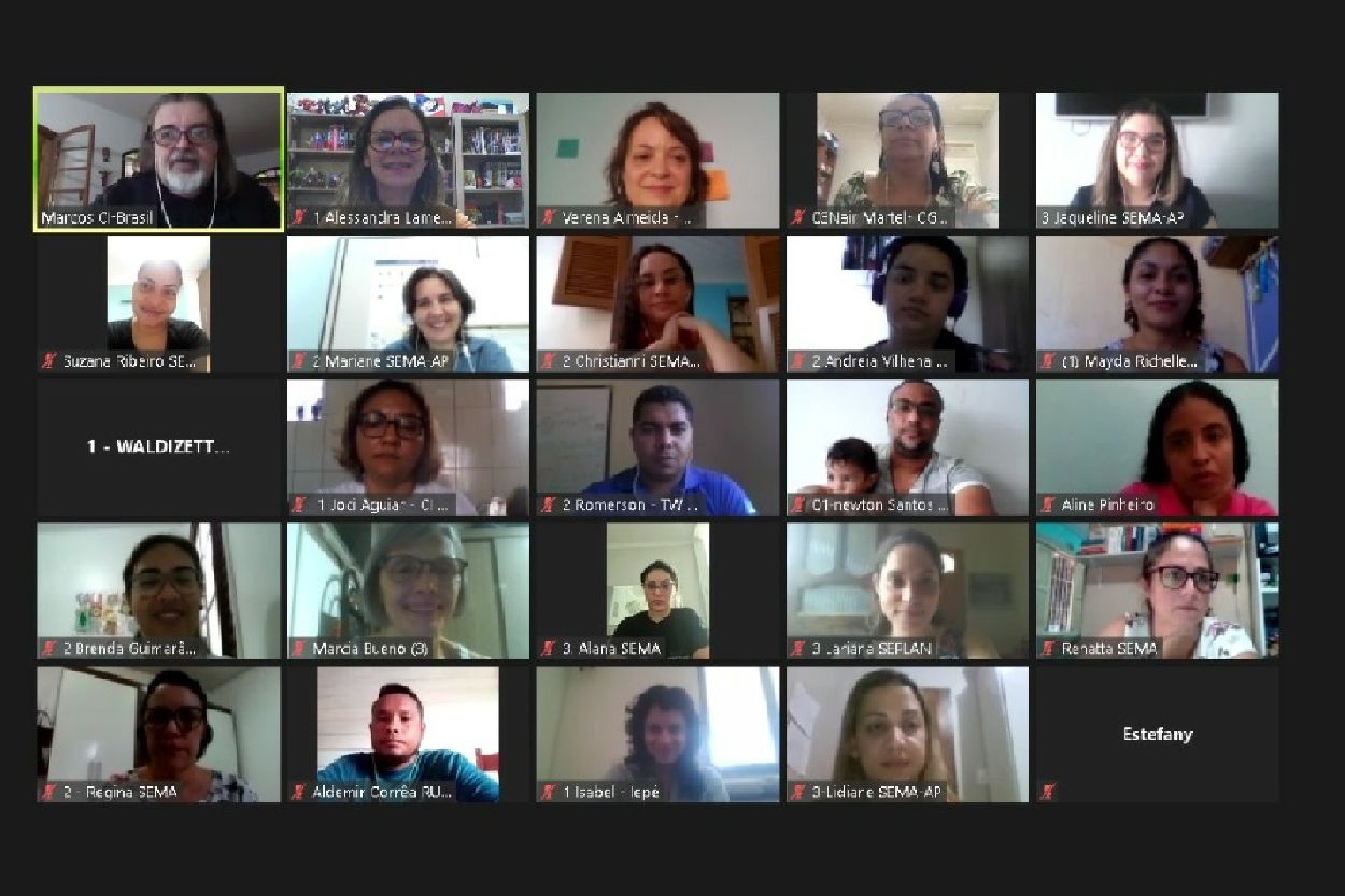 O evento foi realizado virtualmente pela Sema com o objetivo apresentar as contribuições de cada setor para a construção do sistema.