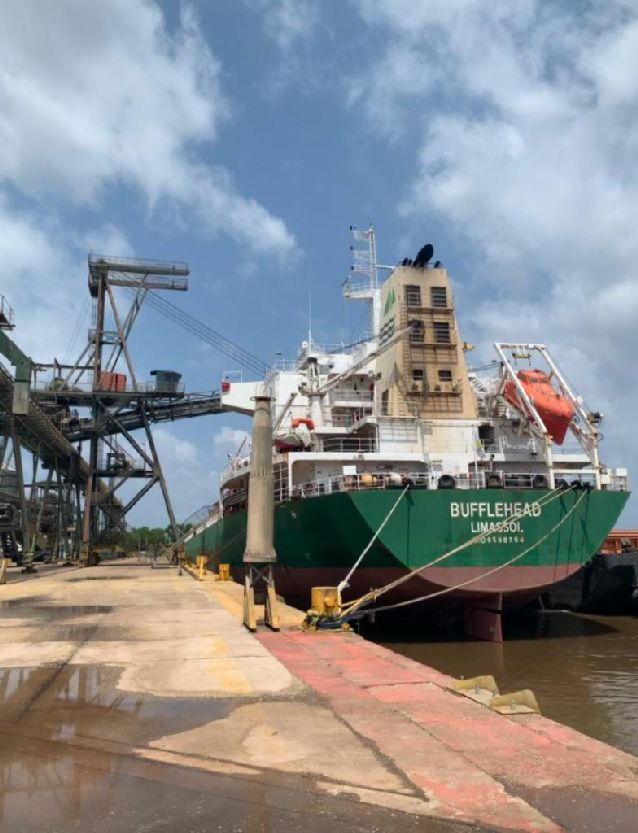 Economicamente, o aumento das exportações gera uma melhora em diversos setores econômicos, desde prestação de serviços até o melhoramento de produto