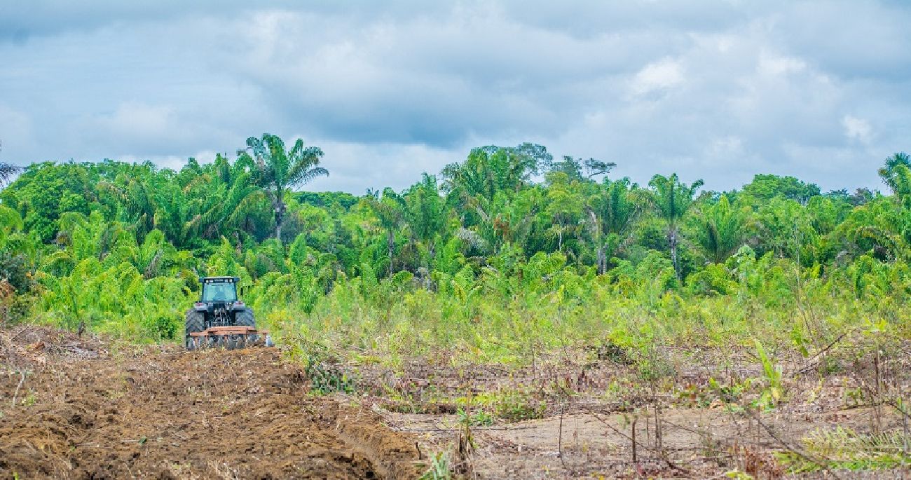 Crédito: Os trabalhos já iniciaram e neste período concentram-se no preparo de área. Crédito: Os trabalhos já iniciaram e neste período concentram-se no preparo de área.