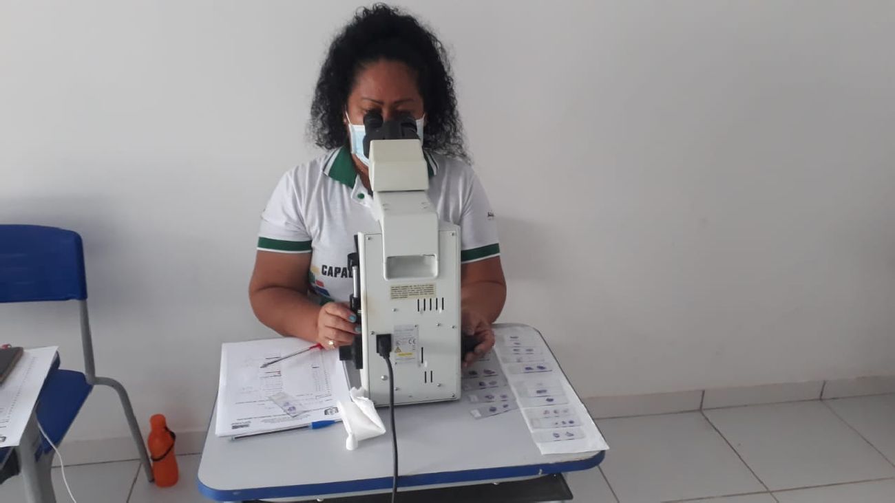 O curso sobre diagnóstico de leishmaniose aconteceu sob coordenação da SVS nos municípios.