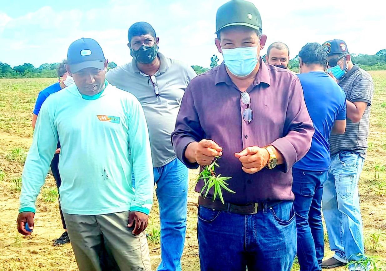 Produtor e empresário, Benedito Dutra, repassou orientações teóricas e práticas sobre plantio e colheita da mandioca para técnicos da SDR e produtores da região.