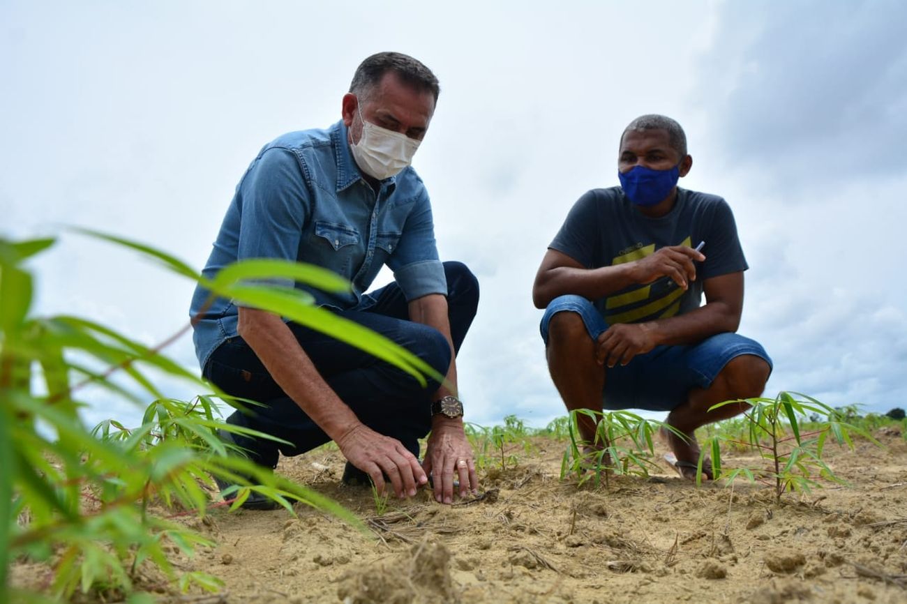 Governador inspeciona aérea de plantio da mandioca na comunidade Mel da Pedreira.