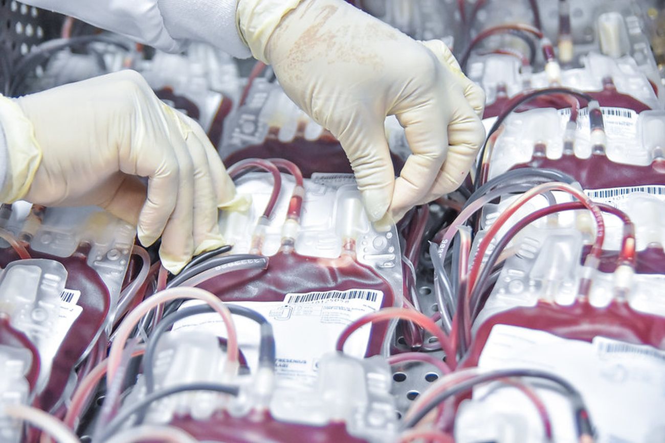 As doações de sangue podem ser realizadas por comparecimento espontâneo ou solicitadas através de agendamento via WhatsApp.