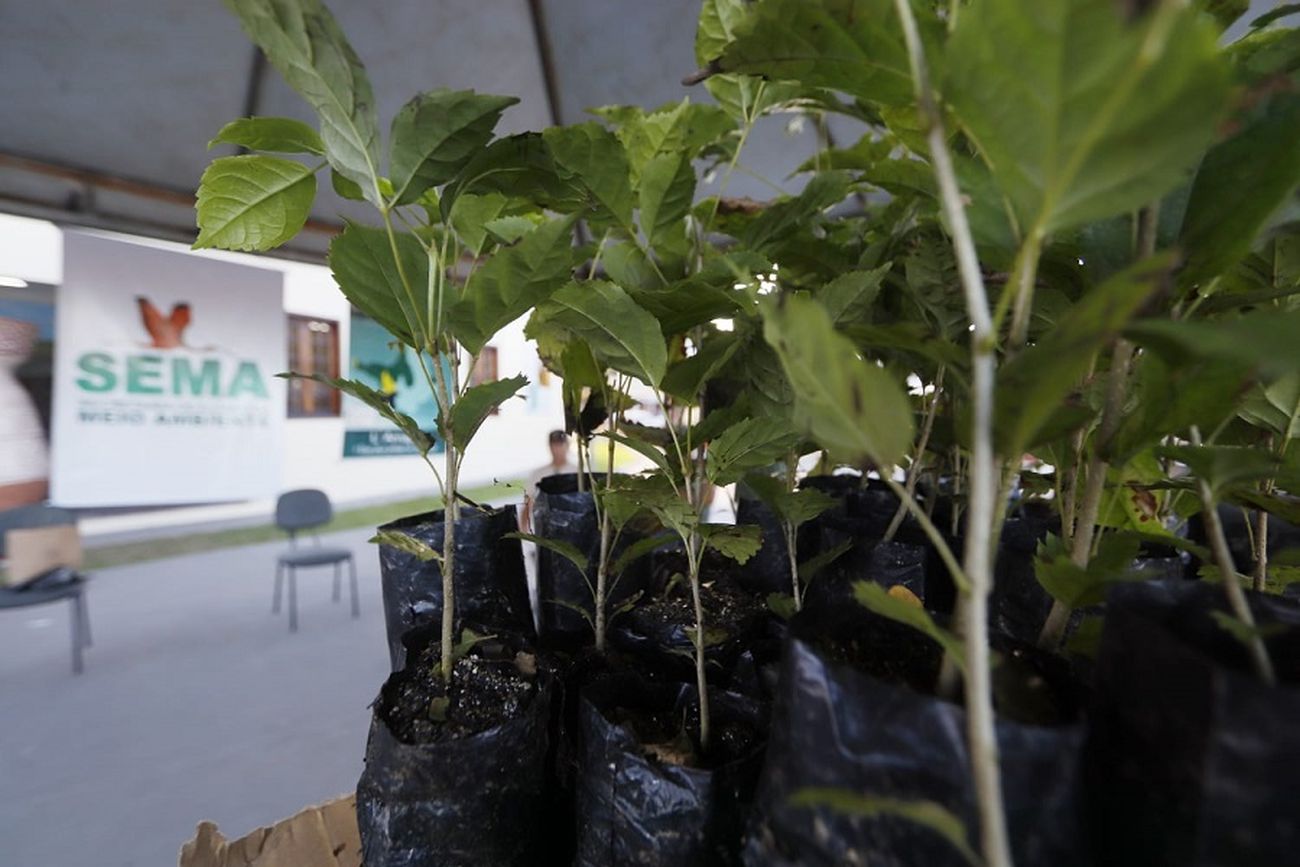 Ação educativa pretende conscientizar a sociedade quanto a proteção e preservação ambiental.