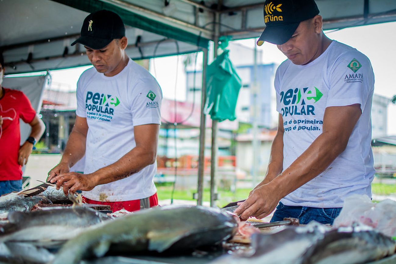 O programa oferece cerca de 24 espécies de peixes com valores abaixo dos praticados nas feiras da cidade.