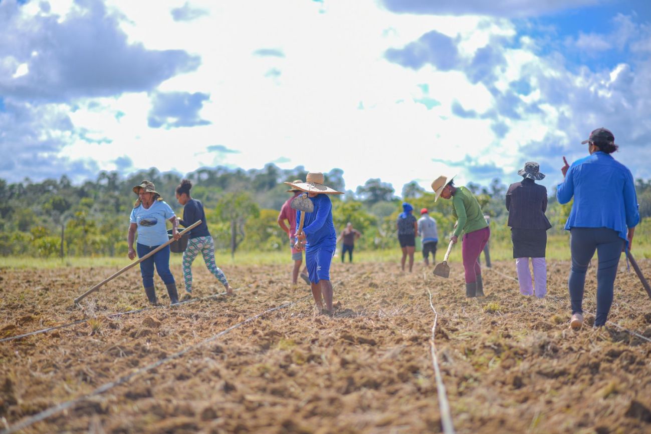 Sob orientação de técnicos do Governo, agricultores iniciam a plantação.