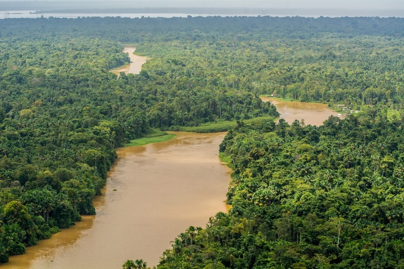 Evento tem como tema: “A Amazônia como potência cultural e visual para o design”