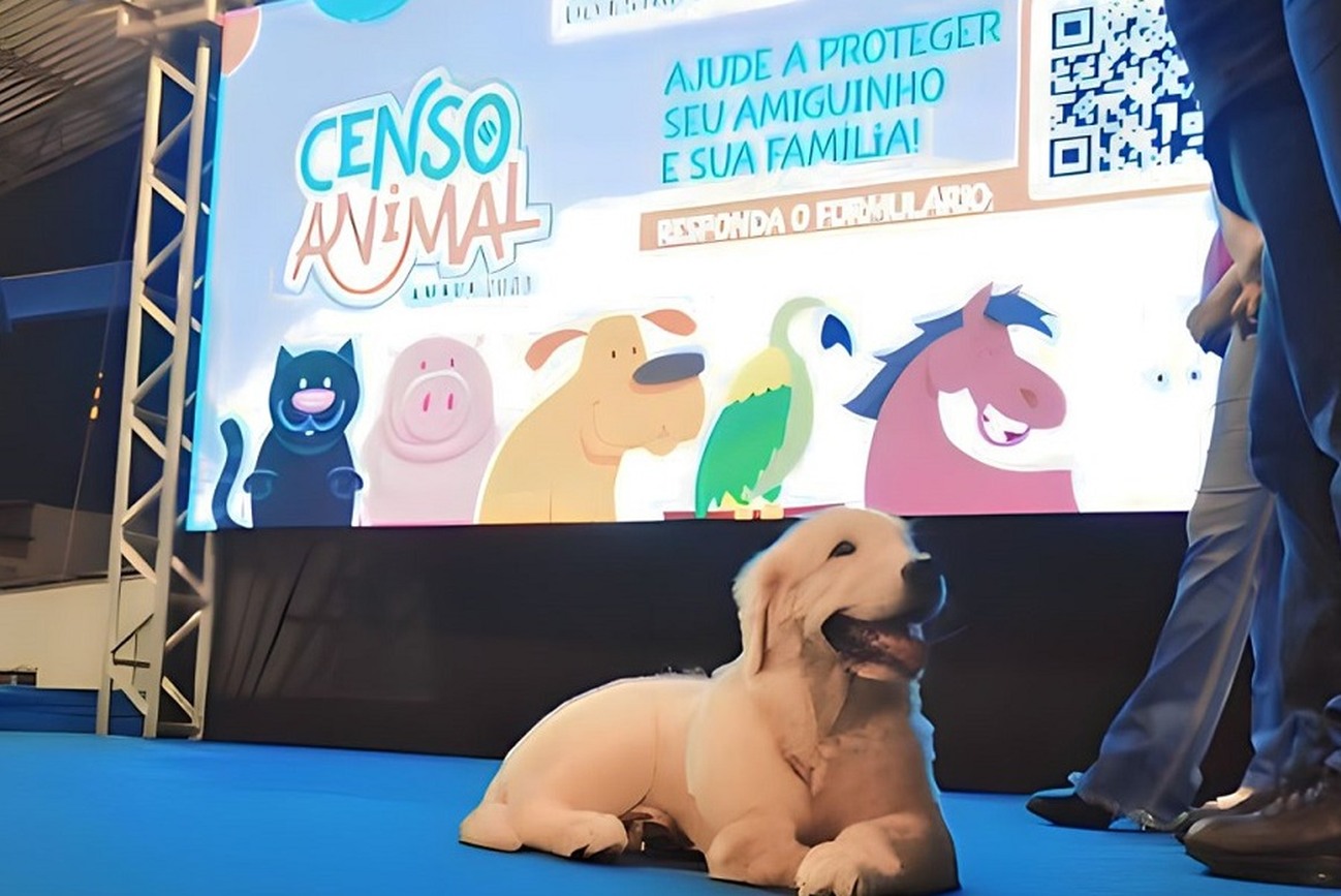 Pesquisa irá considerar apenas animais domésticos e domesticados, como cães e gatos.
