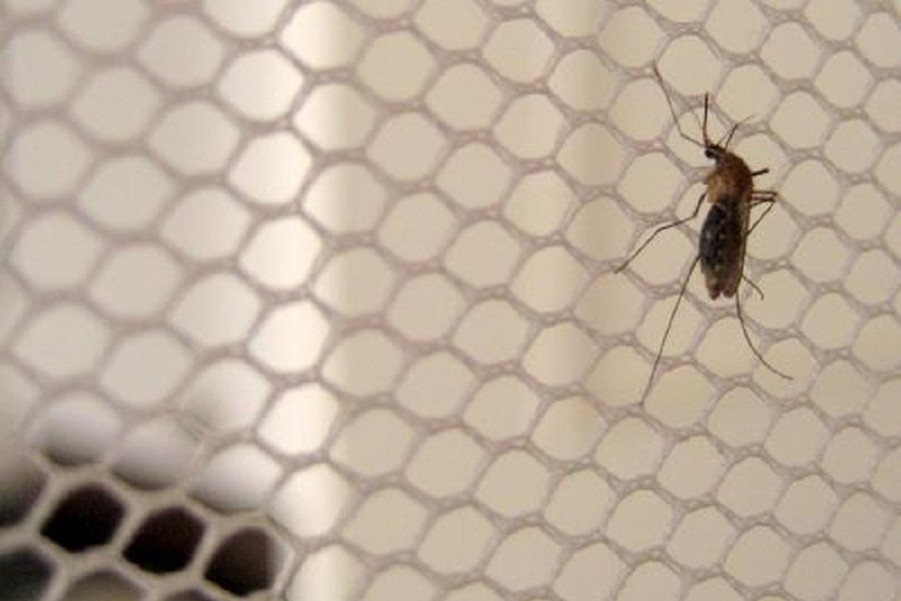 A malária é uma doença tropical causada pelo protozoário plasmodium, que infecta o mosquito Anopheles