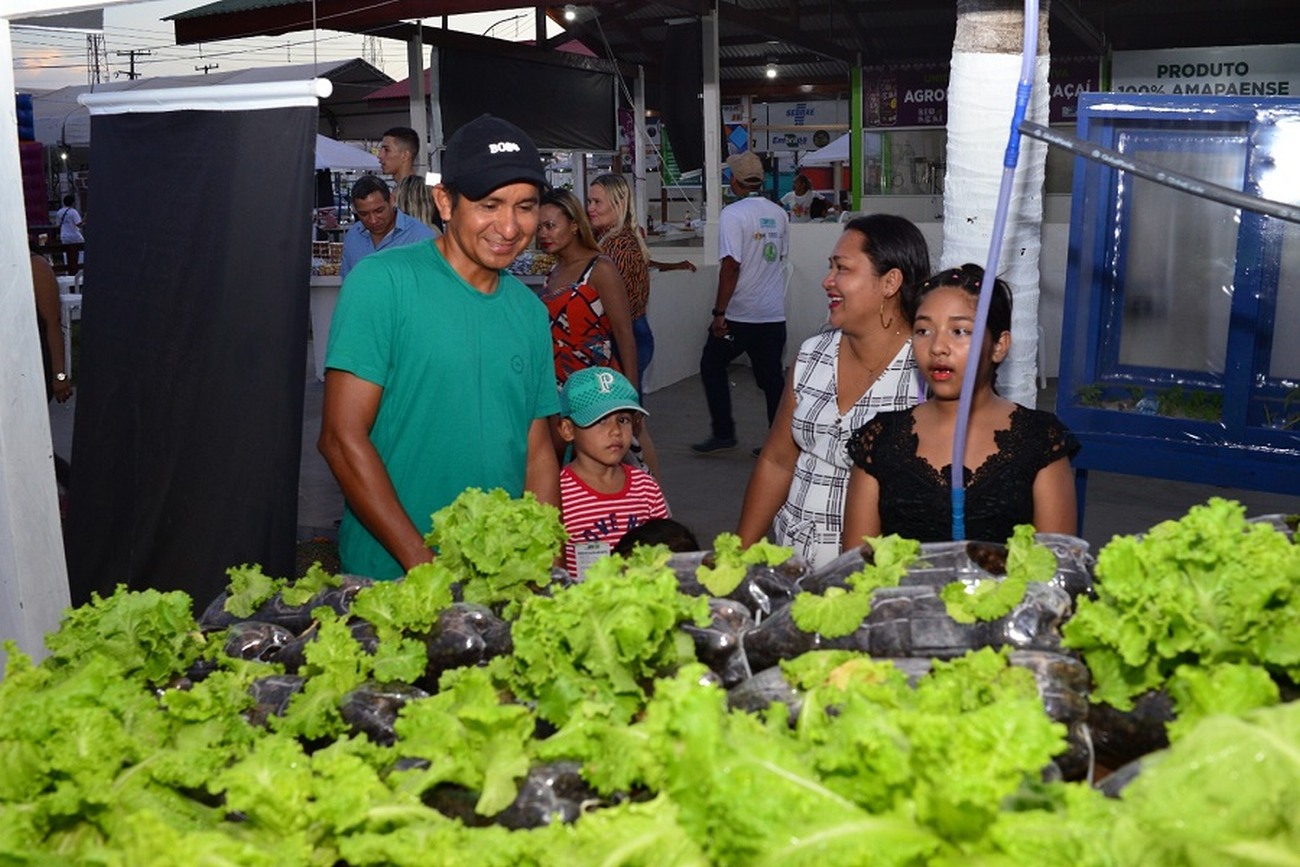 Entre as hortaliças produzidas, estão alface, tomate e rúcula