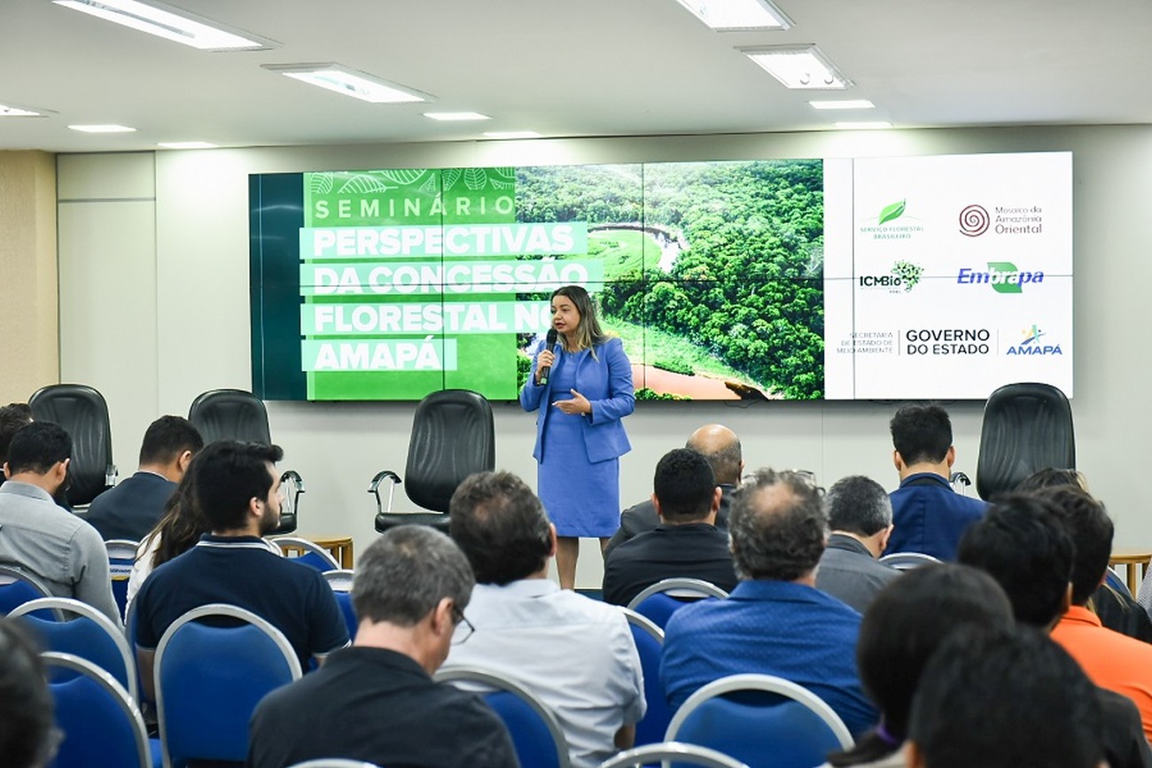 Participaram técnicos, gestores de instituições ambientais, representantes do setor florestal e da sociedade civil
