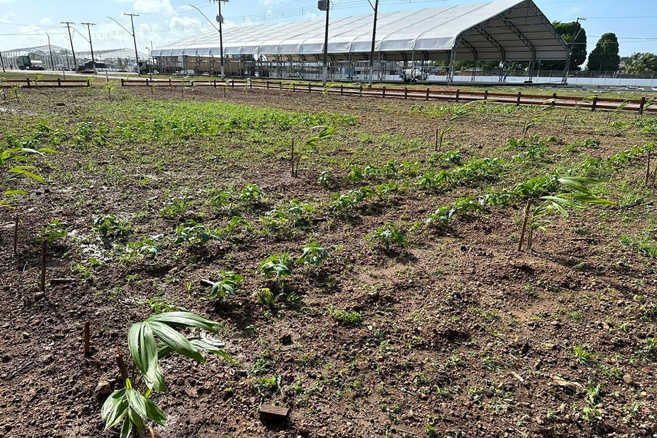 A ação está alinhada aos objetivos do Governo do Estado em aliar o desenvolvimento social e econômico à proteção do meio ambiente