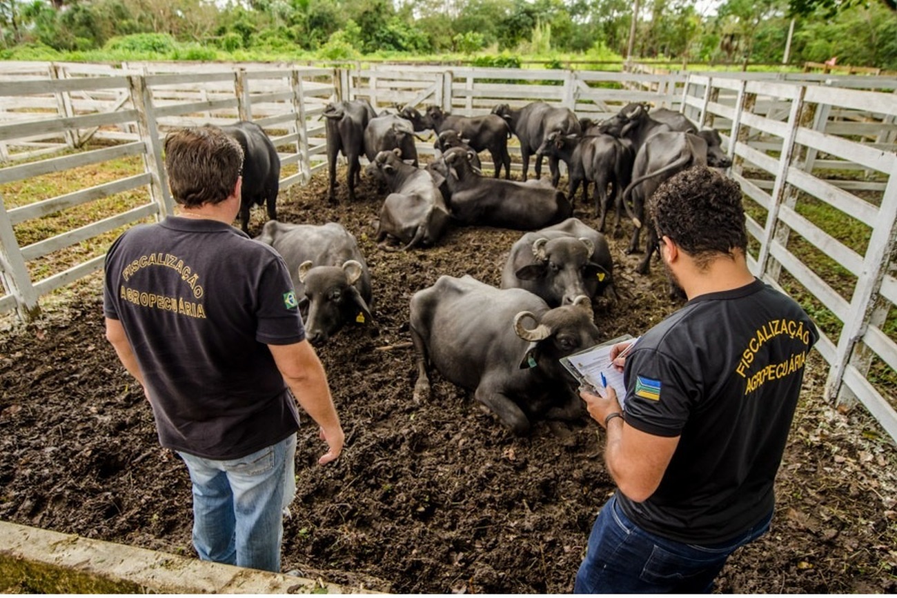 O treinamento busca capacitar profissionais que realizam Serviços de Inspeção nos municípios