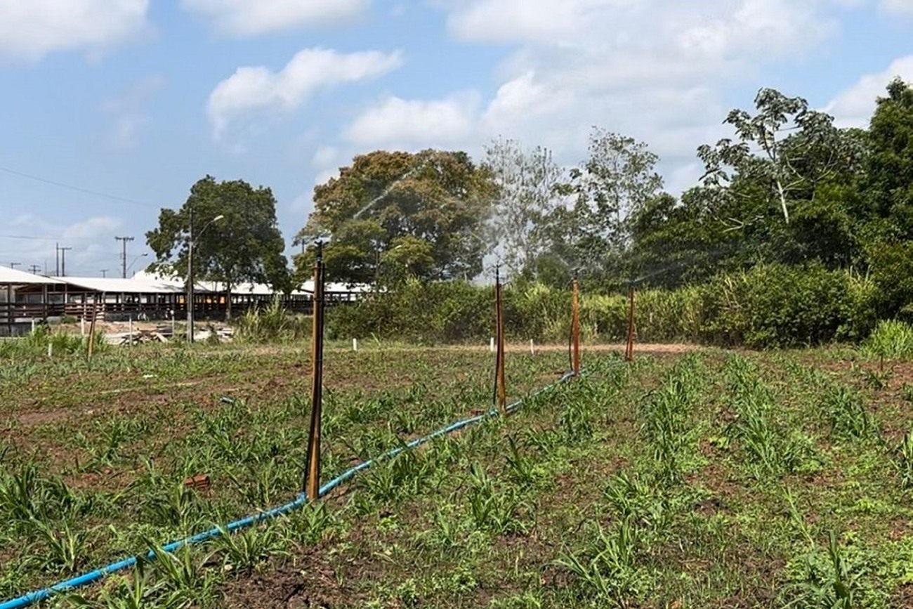 Produtores poderão conhecer diferentes tipos de irrigação