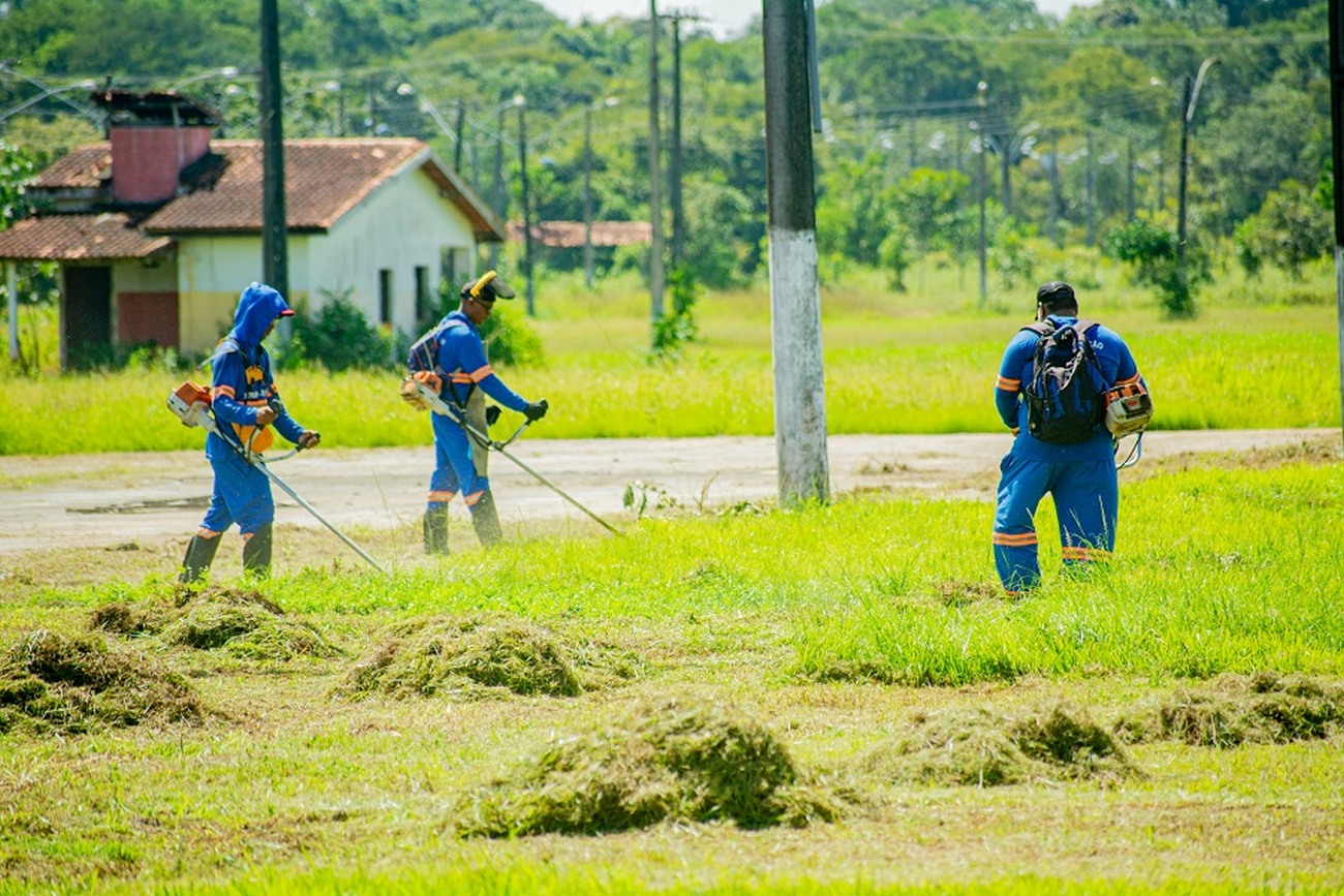 Serviços preliminares incluem roçagem e remoção de entulhos.