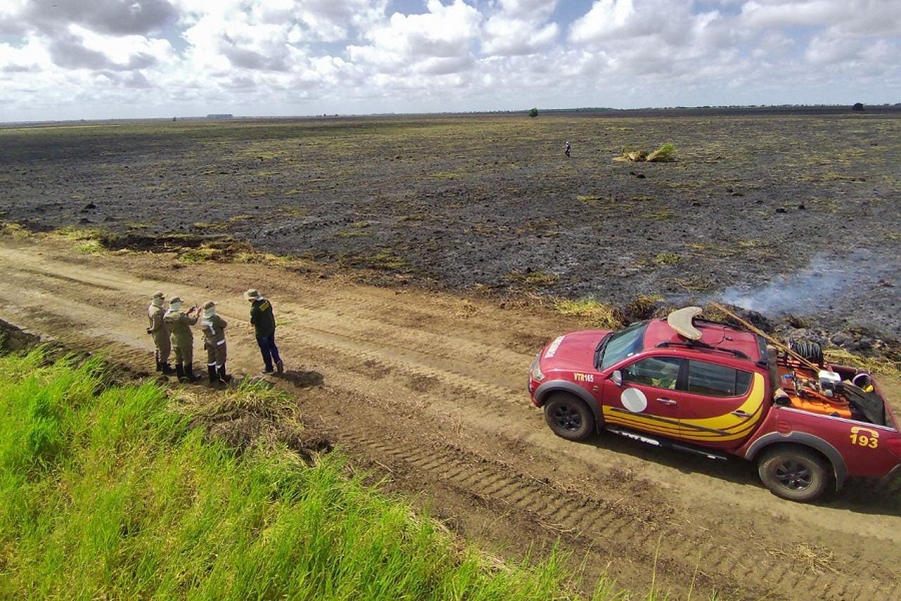 O forte período de estiagem, intensificado pelo fenômeno El Niño, são fatores para o grande número de queimadas no estado