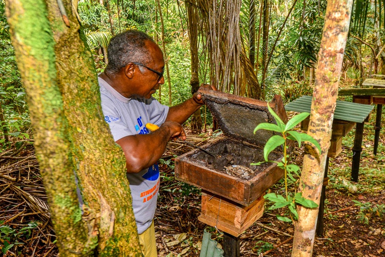Ao todo, 100 famílias produtoras de nove comunidades rurais vão ser beneficiadas