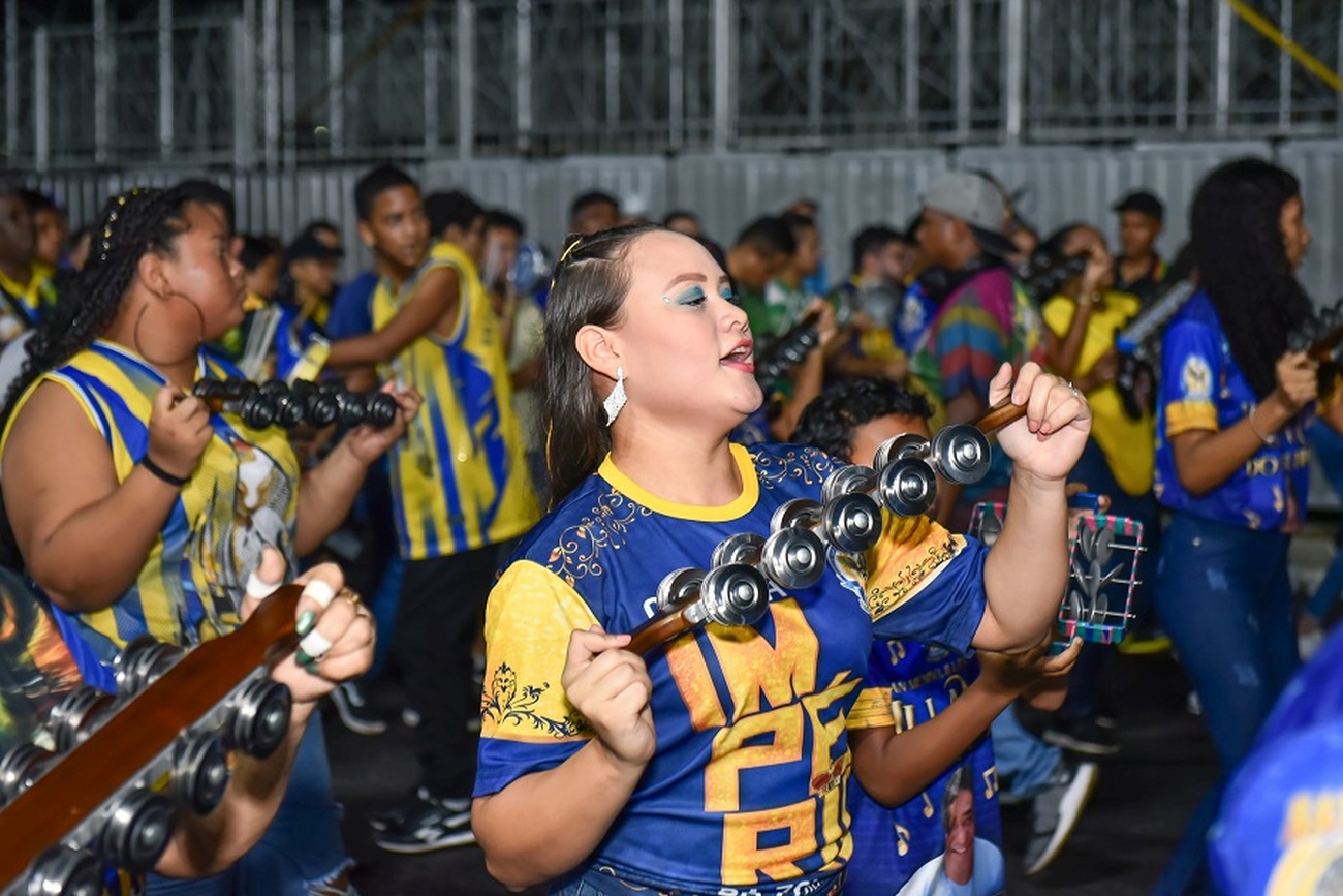 As escolas trouxeram um pouco do enredo para o público