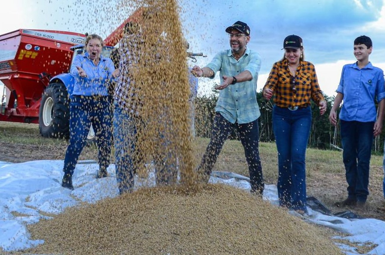Fazenda plantou 165 hectares de soja, primeira produção do tipo no município