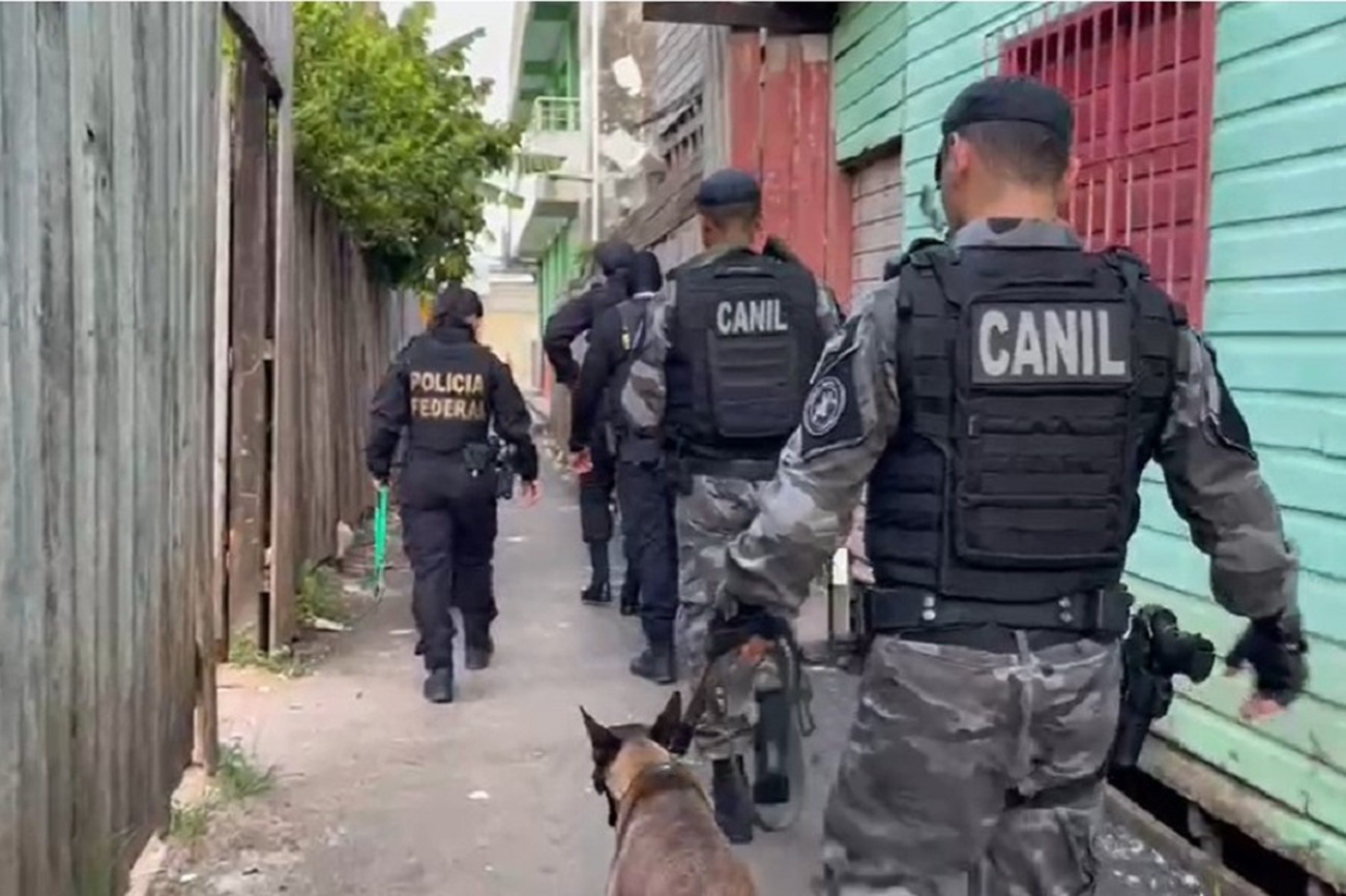 Cães do grupo especializado do Canil da Polícia Militar foram utilizados na operação