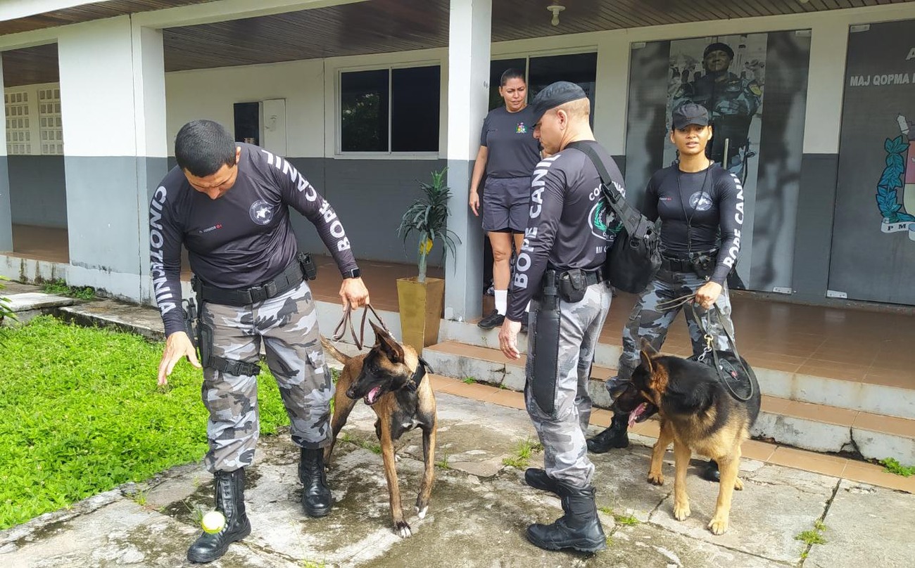 Participam da capacitação 24 alunos, sendo 19 policiais militares, um policial civil e um penal