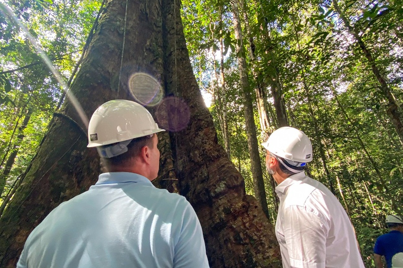 Governador vai mostrar a países europeus as potencialidades do Amapá, o estado mais preservado do país
