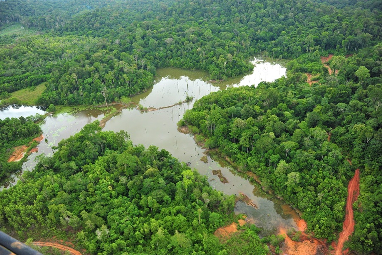 Os estudos avaliam toda biodiversidade do território do Amapá