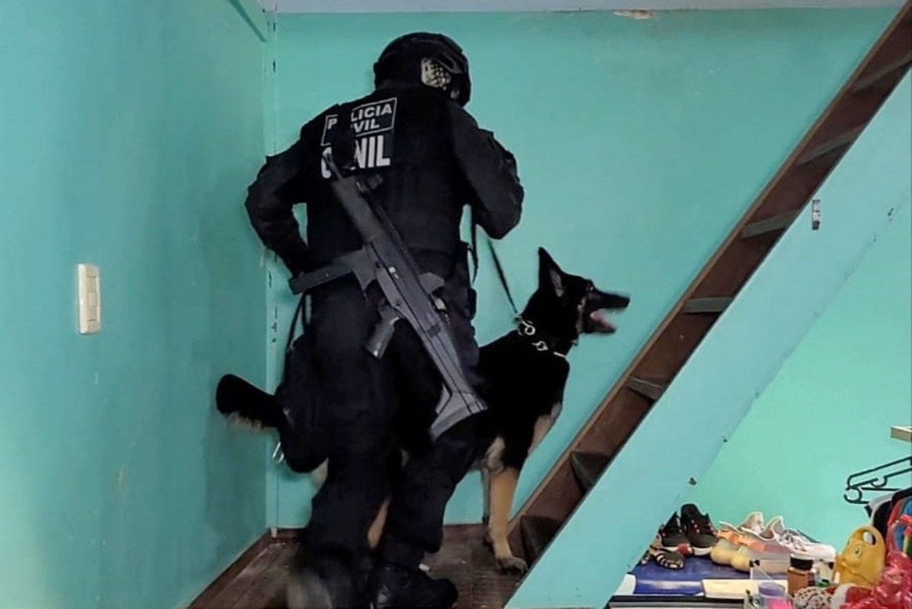 Crédito: Divulgação/Polícia Civil Crédito: Divulgação/Polícia Civil