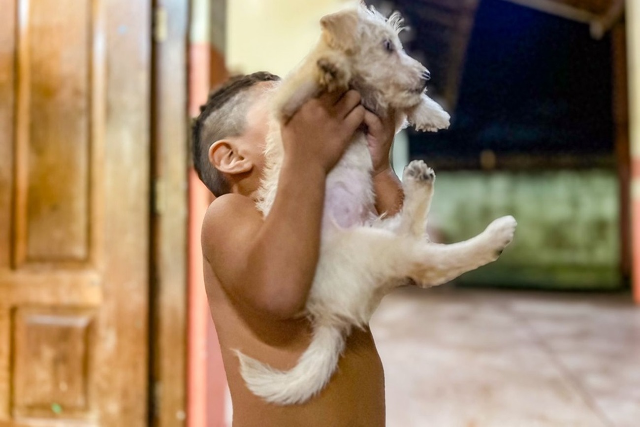 São ofertados serviços veterinários aos cães e gatos desabrigados