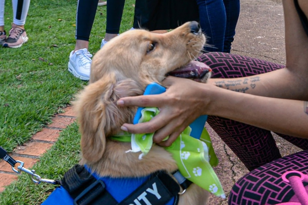 A iniciativa faz parte das ações de conscientização contra crimes de maus tratos aos animais