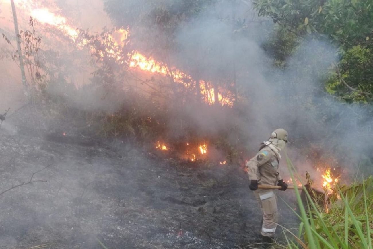 Equipes do 1º ciclo de combate a queimadas e incêndios florestais já se encontram instaladas em 11 bases no interior do estado