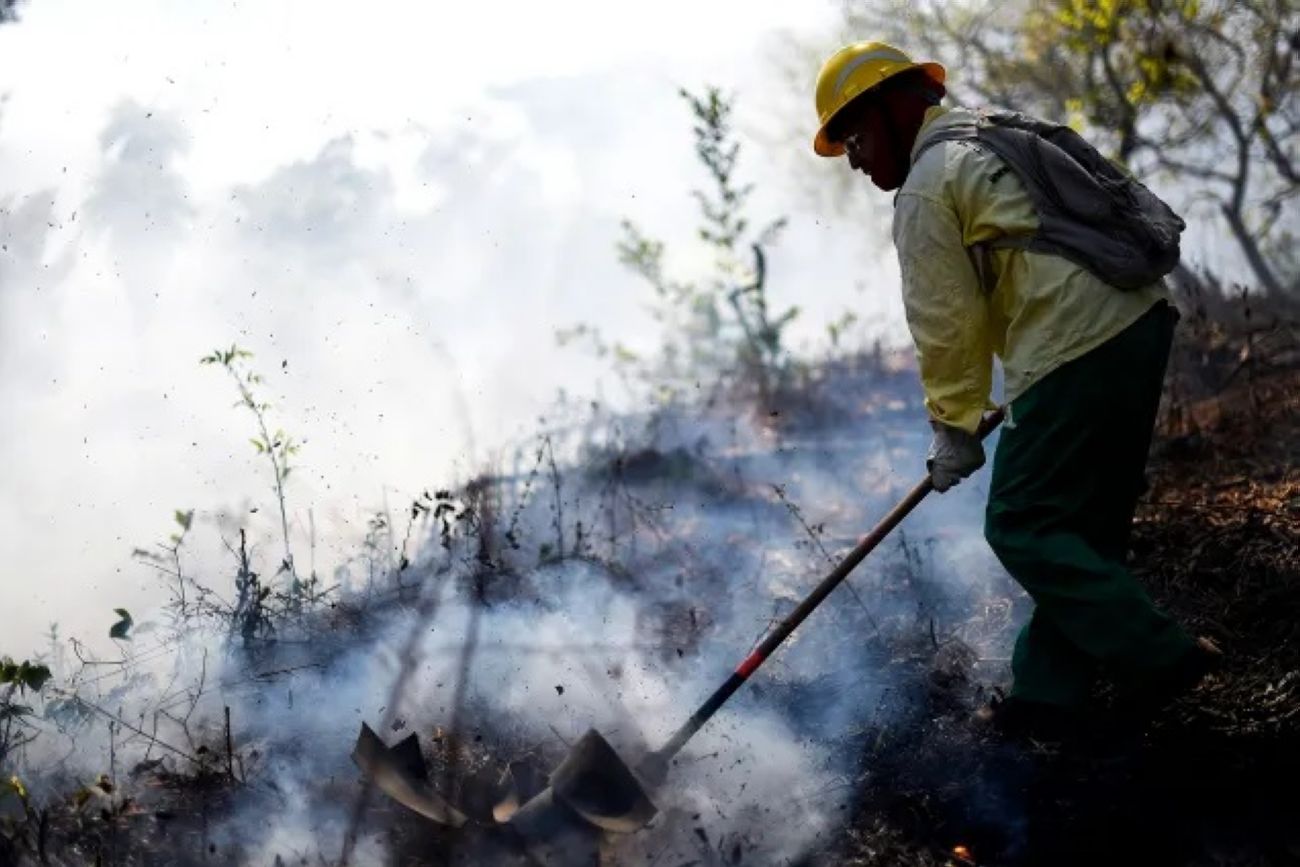 Brigadistas voluntários atuarão nas florestas do Amapá