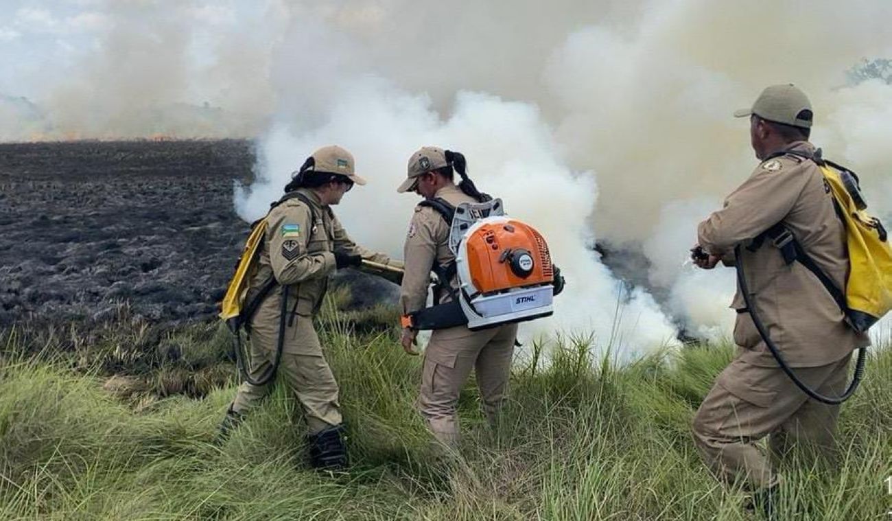 Ação está na 7ª edição e faz parte da Operação Protetor dos Biomas, do Governo Federal