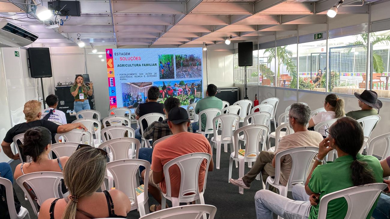 Falta de chuva e o aumento das temperaturas são algumas das causas da estiagem