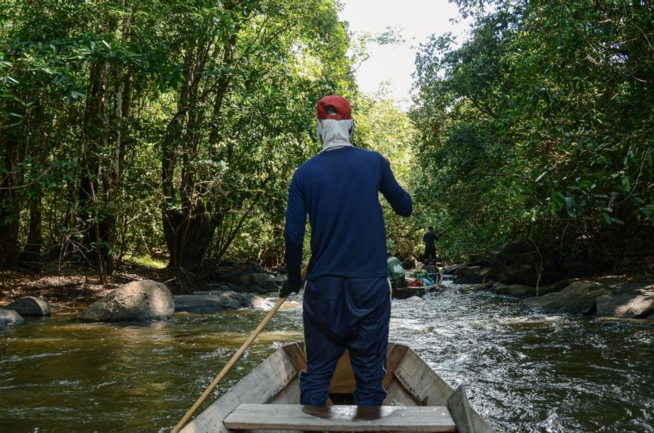 Lei fomenta um ambiente ecologicamente equilibrado com desenvolvimento sustentável