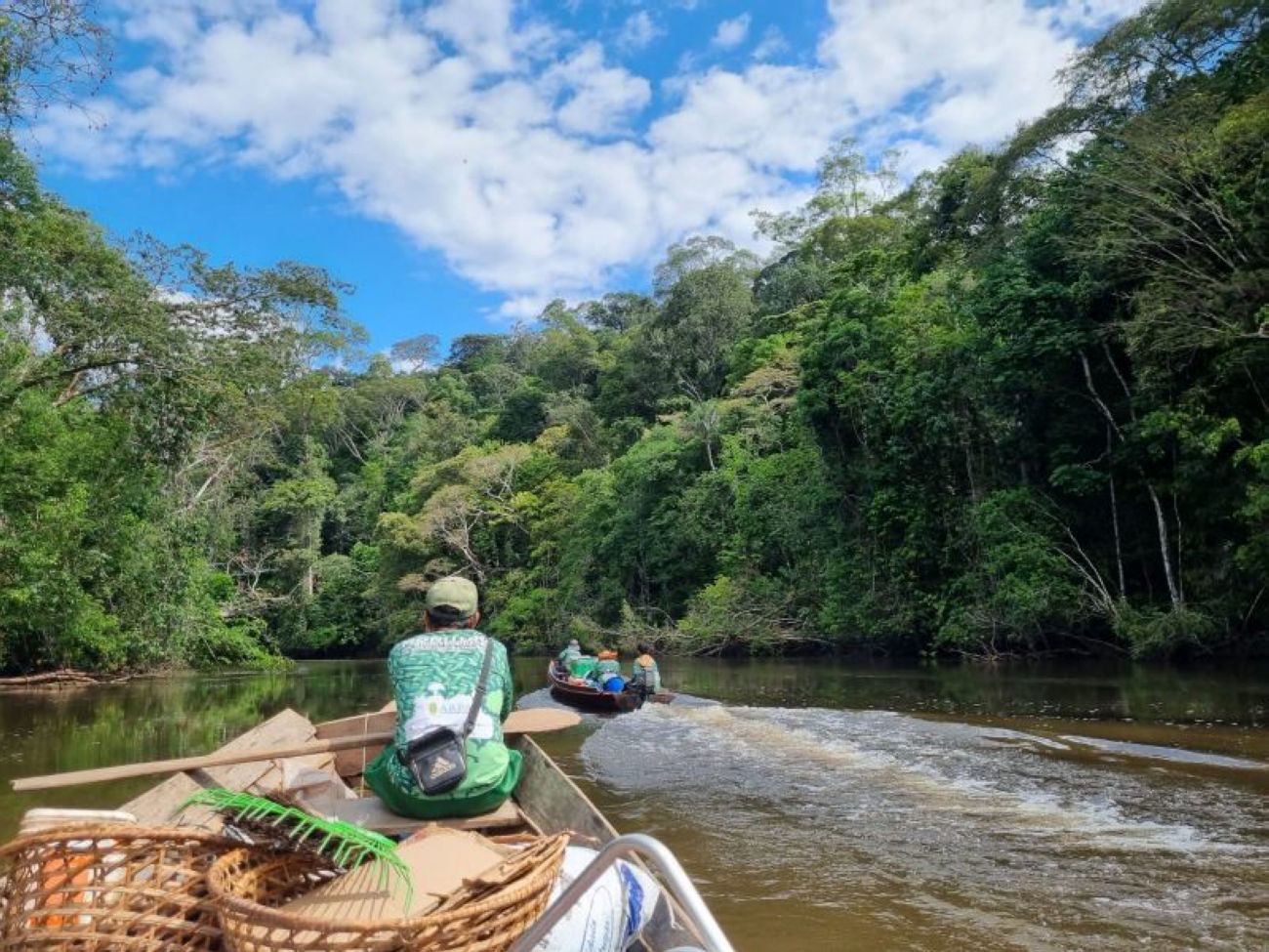 Amapá busca protagonismo a partir de exemplos que aliam desenvolvimento e proteção das florestas