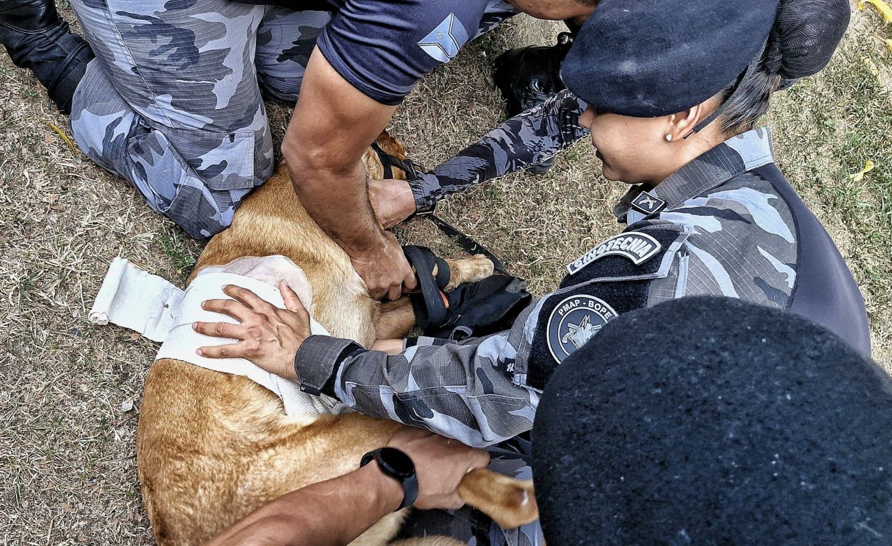 Ação fez parte da 'Semana do Adestrador de Cães para Emprego Policial'