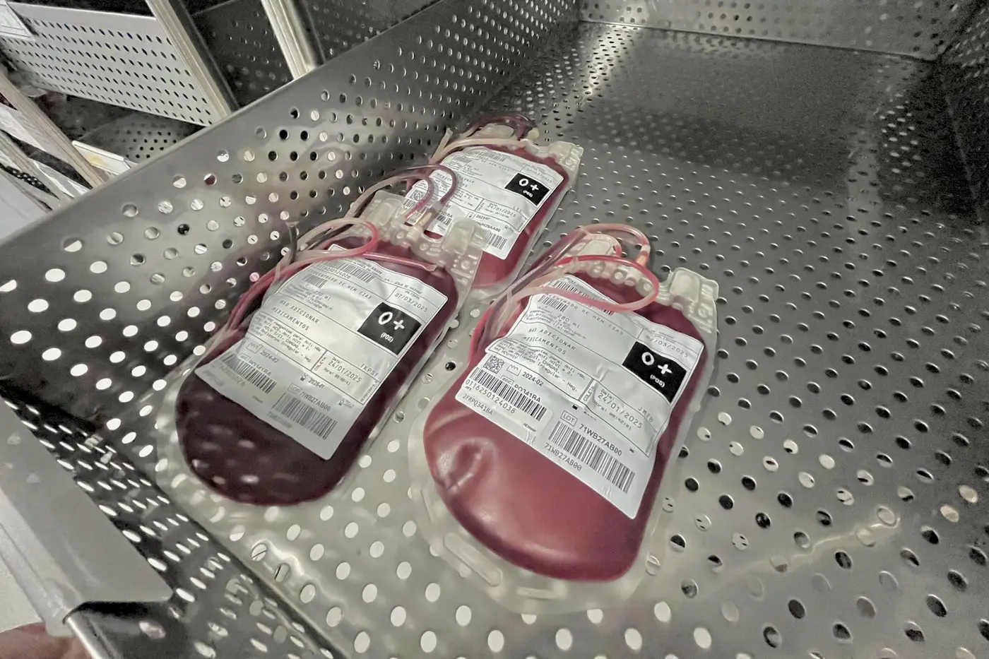 Atualmente, são 19.641 doadores com O+ cadastrados no Hemoap