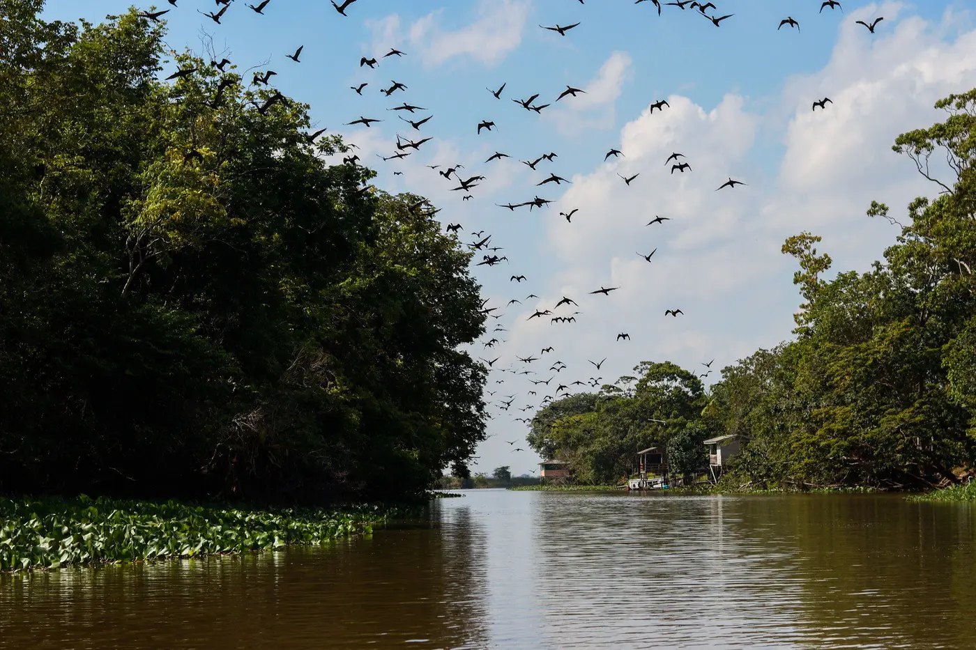 A Ilha de Santana é um dos atrativos turístico natural da cidade, localizada a 17km da capital Macapá