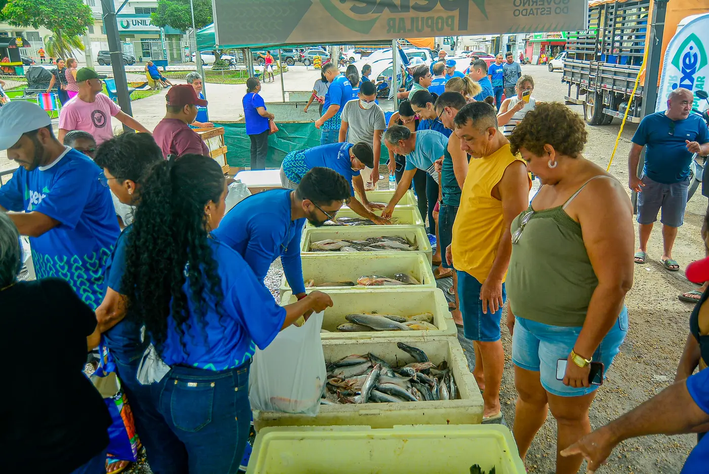 Este ano, expectativa será disponibilizar 130 toneladas de pescado em mais de 50% dos municípios amapaenses