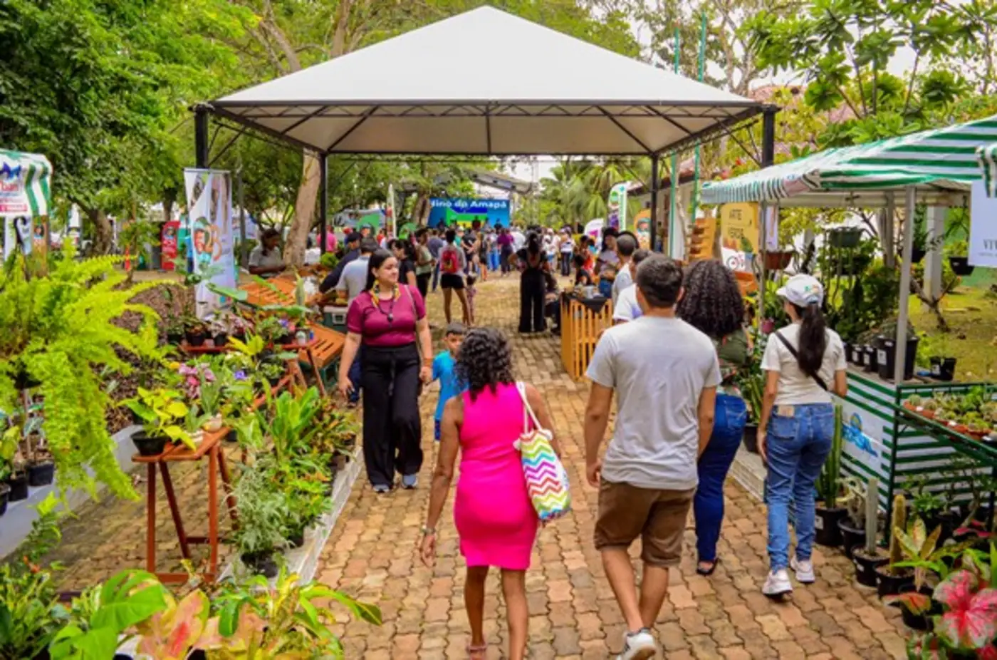 A festa promovida pelo Governo do Amapá em celebração ao museu contou com programação diversificada