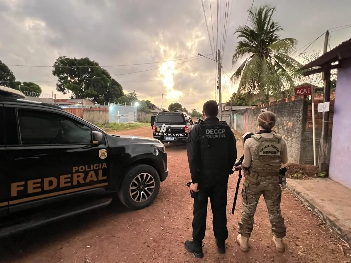 Operação ’Harpia II’ prendeu mais de 170 pessoas com um trabalho integrado entre as polícias Civil e Federal