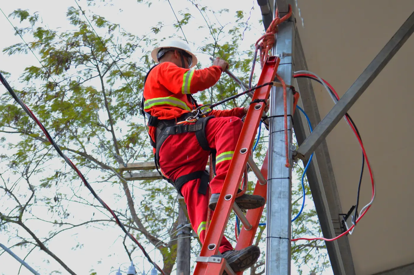 Toda a rede elétrica do Parque está recebendo readequações