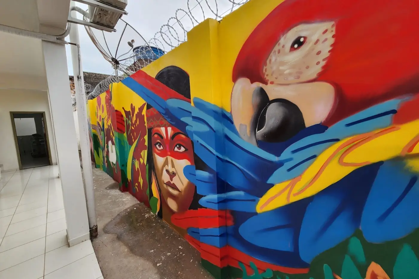 As pinturas trazem a Amazônia como inspiração, criando um “abraço visual” a quem chega no Caps AD