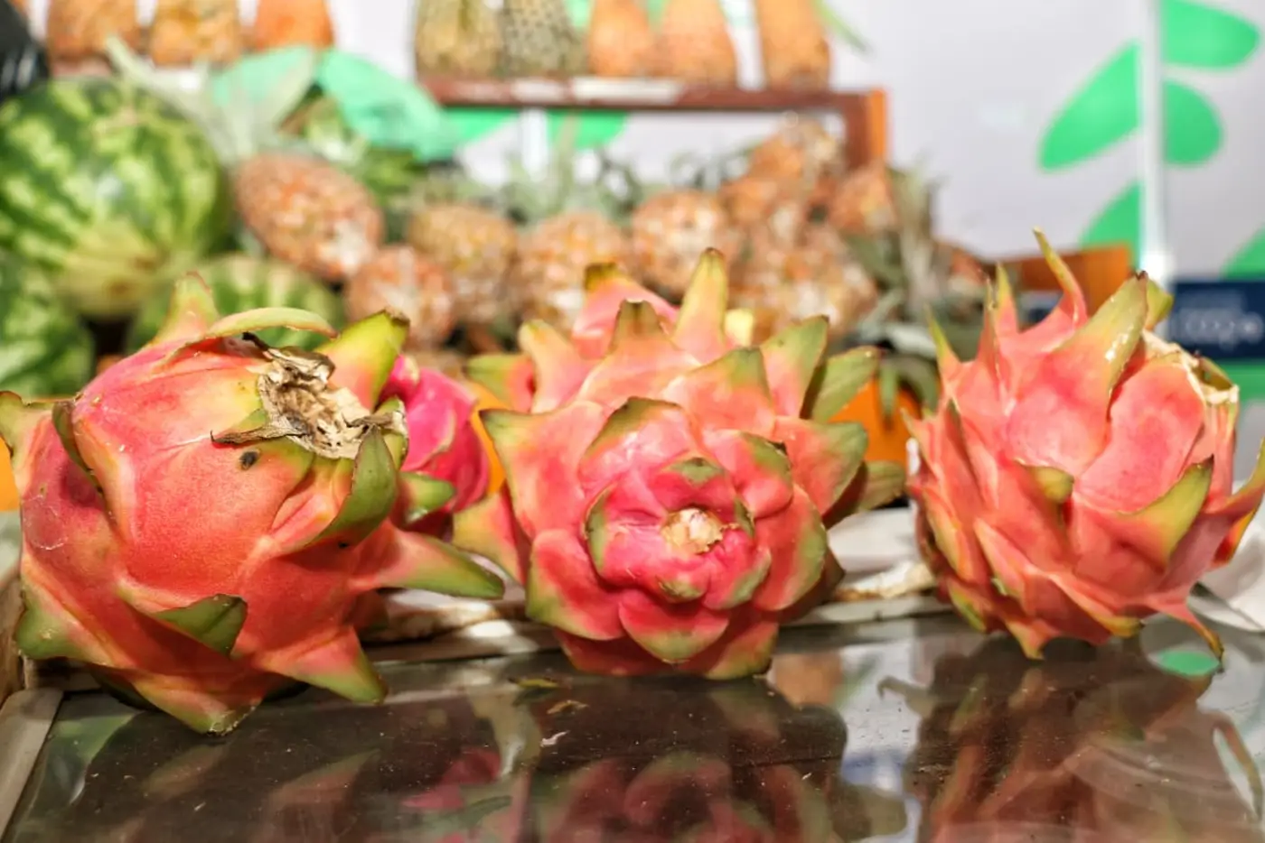 Diferentes variedades da fruta são cultivadas no estado: Costa Rica, Golden, Chinesa e Royal