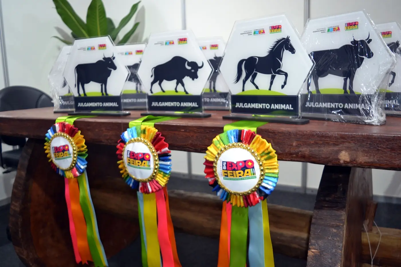 Troféus e rosetas que serão entregues aos vencedores da competição
