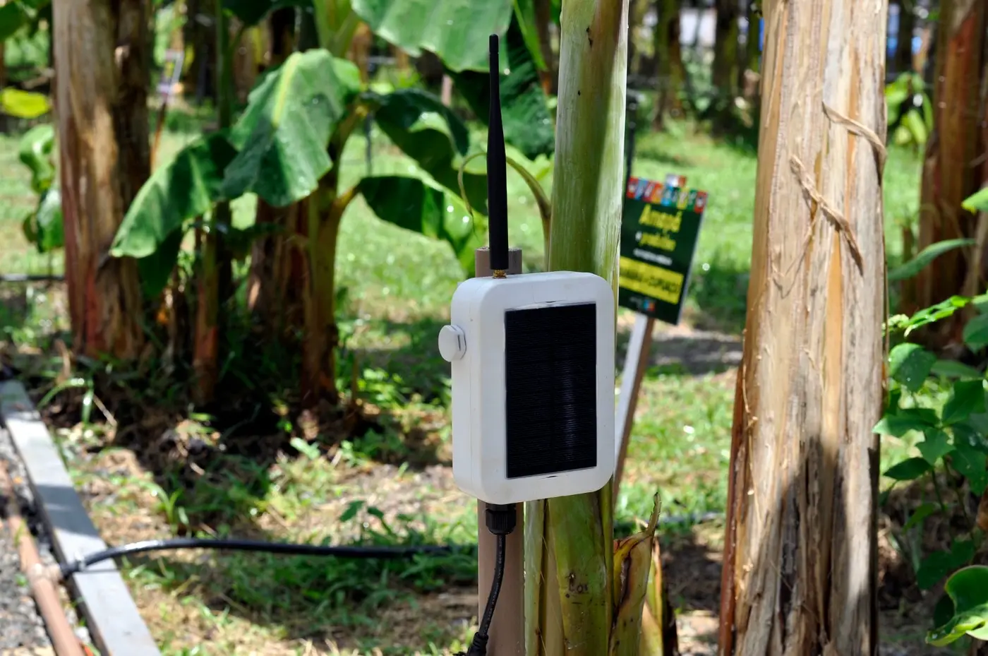 Sistema de irrigação utiliza sensores solares e eletroválvulas para reduzir desperdícios e aumentar a eficiência no campo