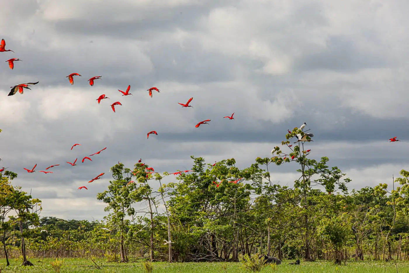 Amapá sedia o 4º Encontro Regional Amazônico do ICLEI Brasil durante três dias