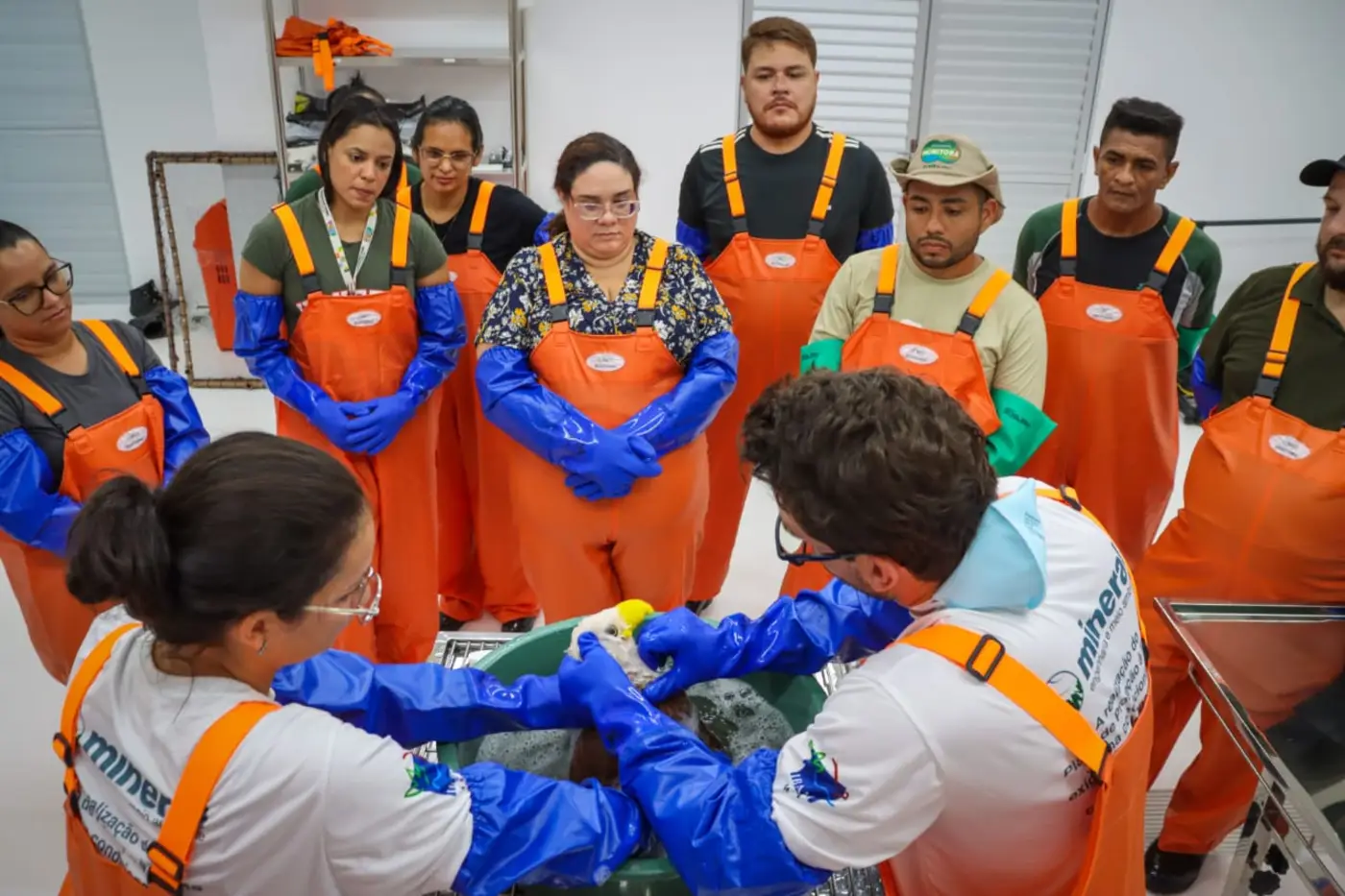 Analistas ambientais da Sema fazem treinamento em respostas a emergências ambientais